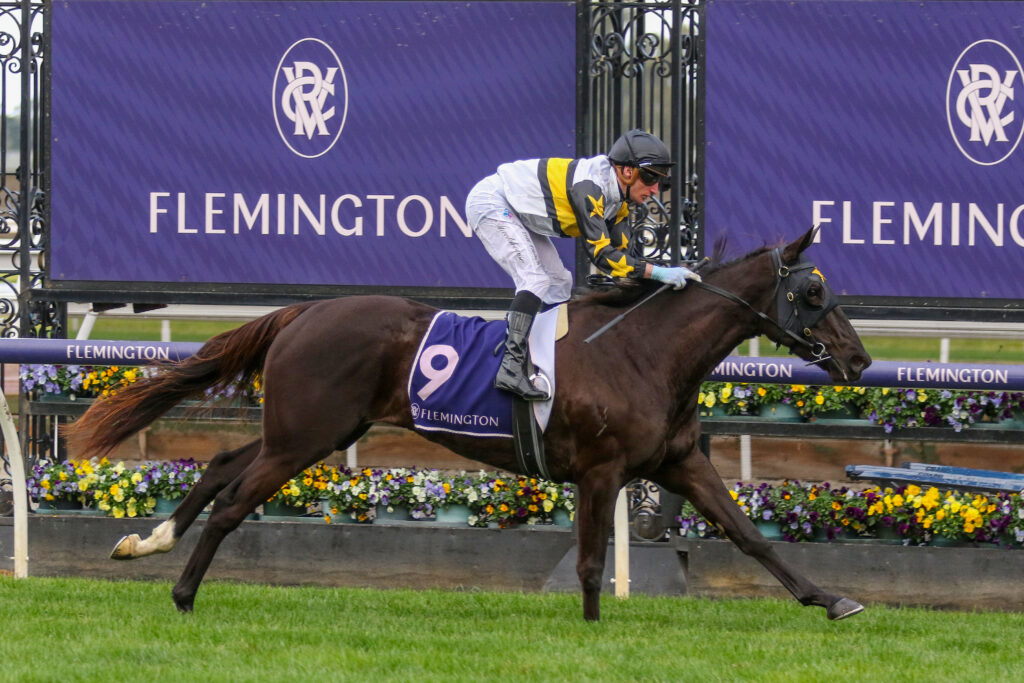 Mimi's Award_01-07-2023_WIN_Flemington_4__599 | Just Horse Racing