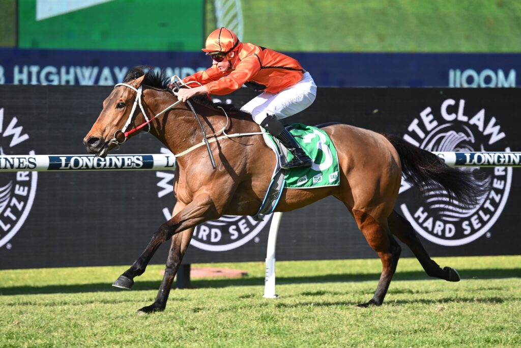 Mogo Magic 01072023 6412 | Just Horse Racing