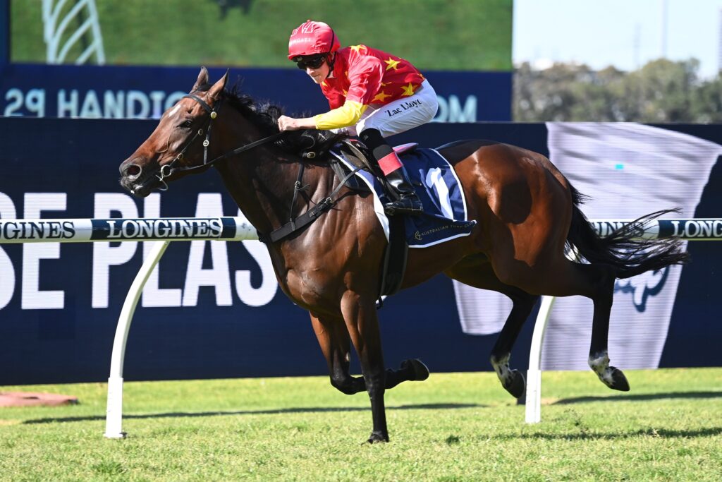 Resonator 01072023 6141 | Just Horse Racing