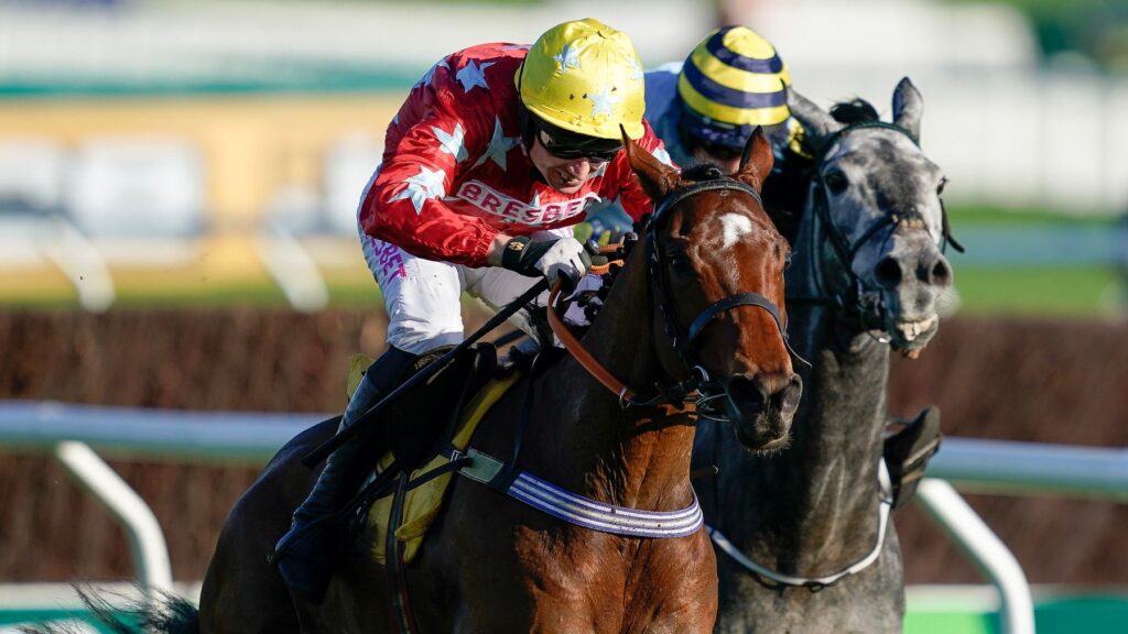 Scriptwriter | Just Horse Racing