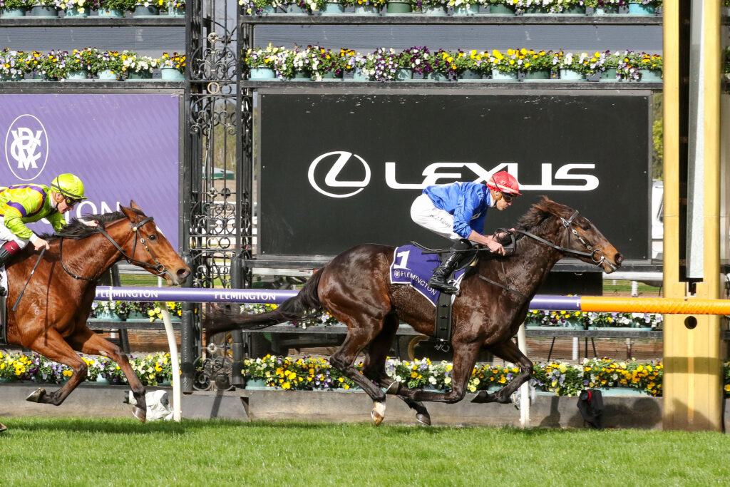Seonee_01-07-2023_WIN_Flemington_2__307 | Just Horse Racing