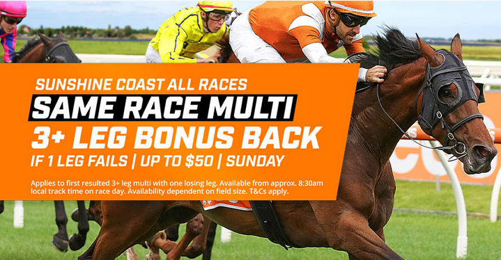 Sunshine Coast same race | Just Horse Racing
