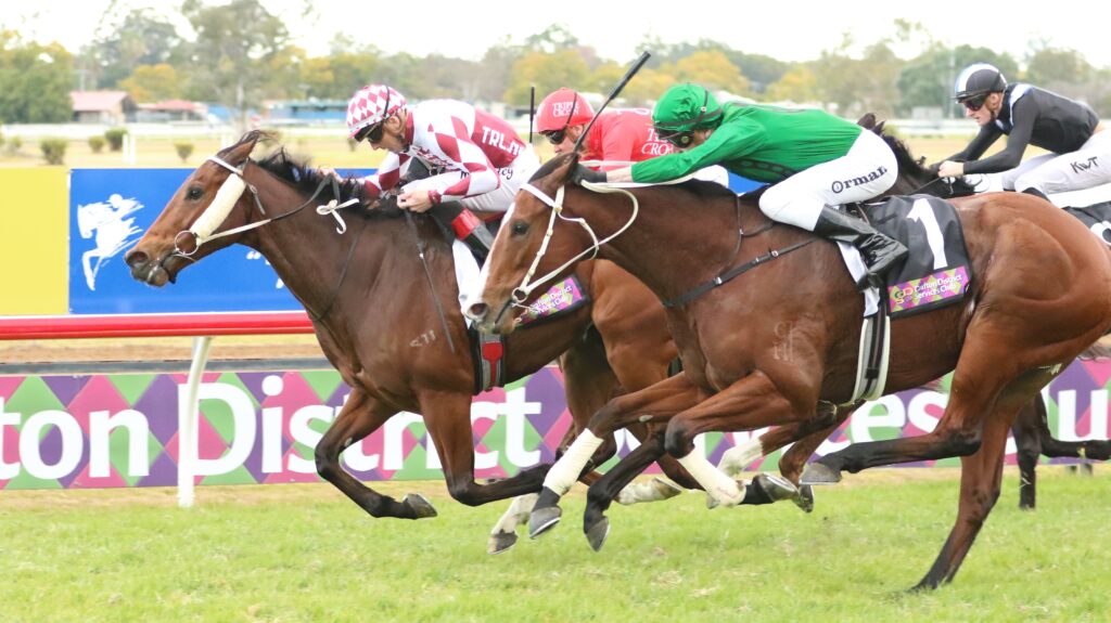 The Big Goodbye 2 | Just Horse Racing