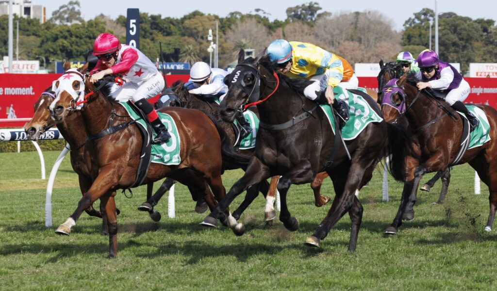 Zaru-20230715-0900 | Just Horse Racing