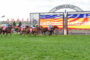 Moonee Valley races | Just Horse Racing
