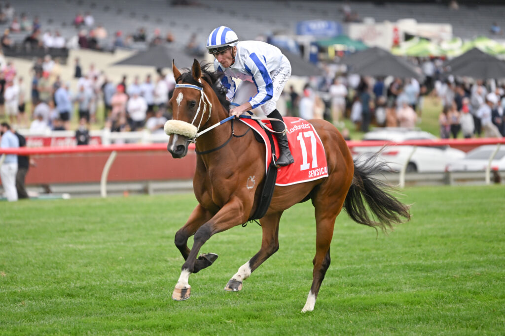 /r7/ | Just Horse Racing
