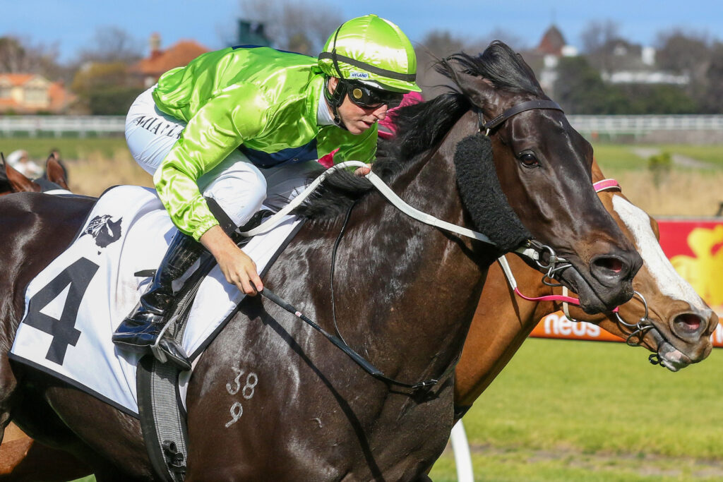 Amenable_19-08-2023_WIN_Caulfield_5__593 | Just Horse Racing
