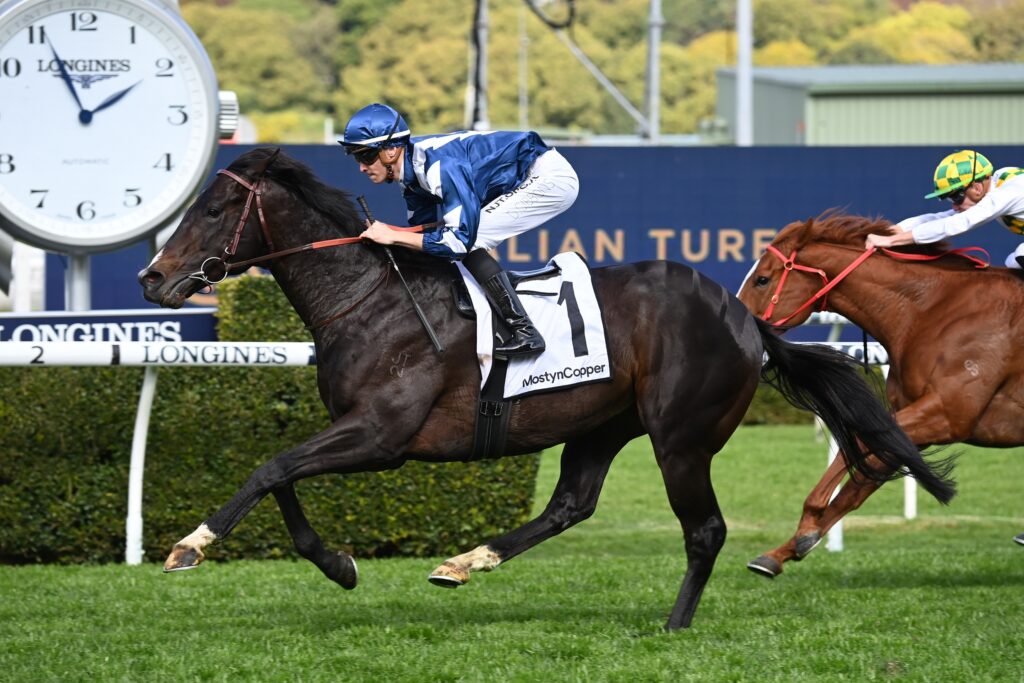 Exciting sprinter short odds in the Expressway Stakes