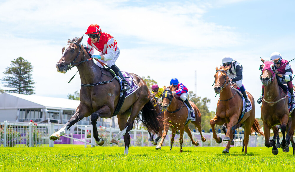 Costazita | Just Horse Racing