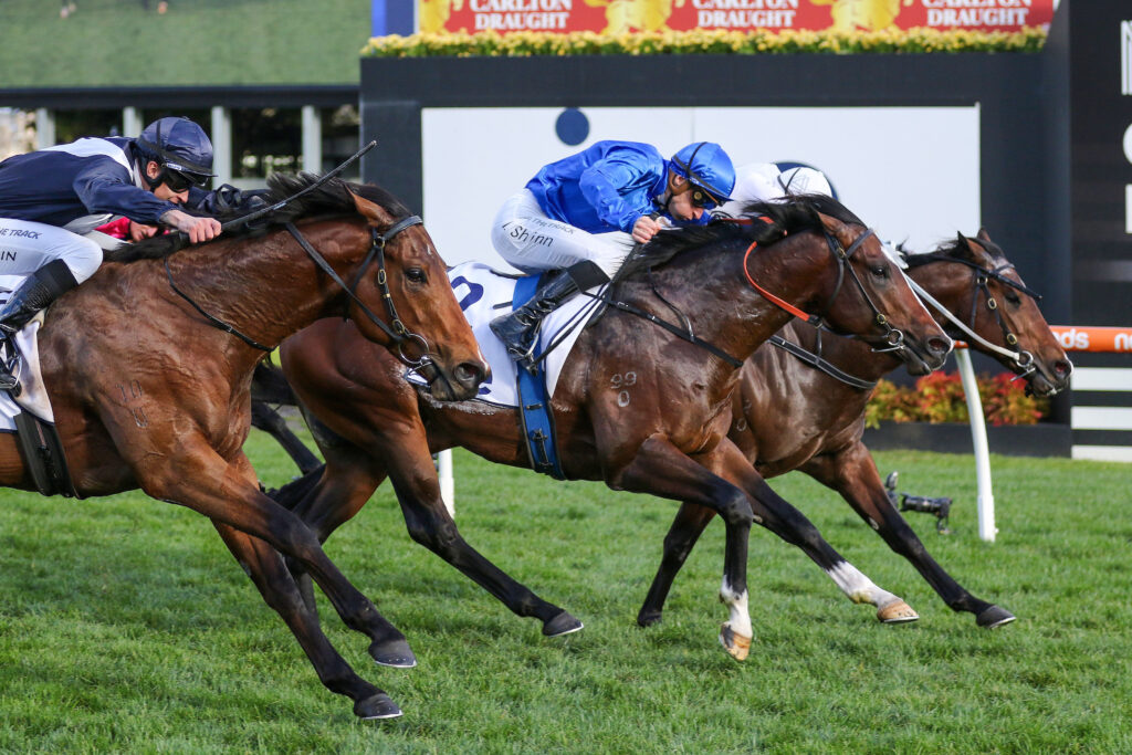 Cylinder,Vain Stakes,Group 3_19-08-2023_WIN_Caulfield_7__956 | Just Horse Racing