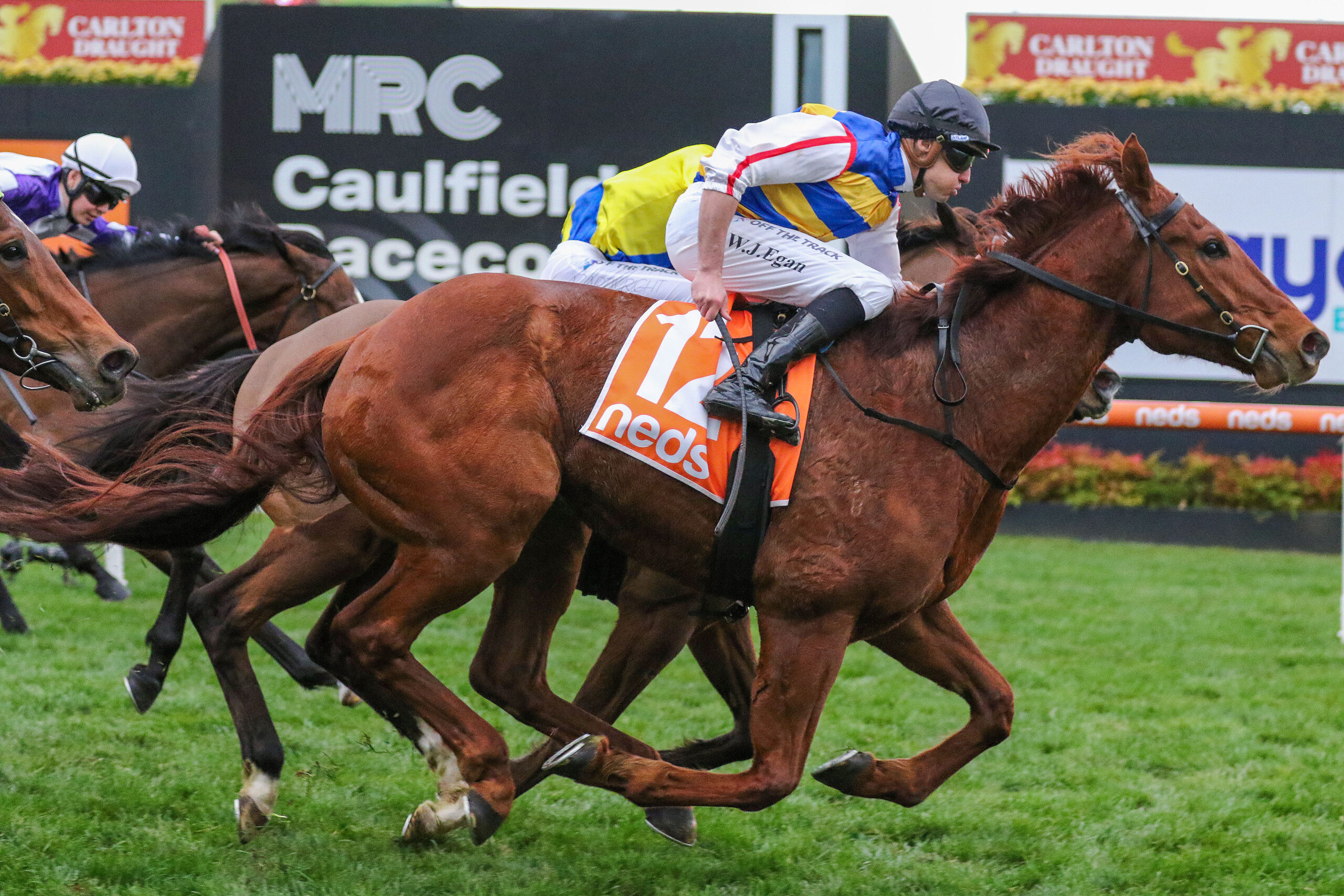 Apache Cat Classic Field & Odds – 2025 | Just Horse Racing