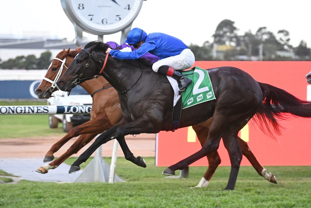 Pericles 12082023 4312 | Just Horse Racing