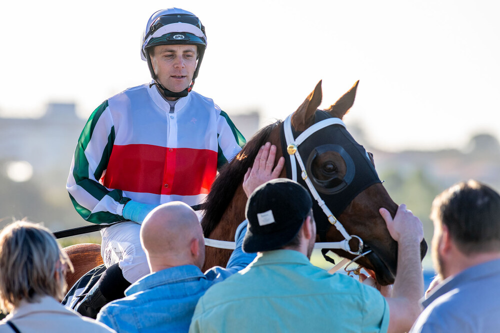 Phanta | Just Horse Racing