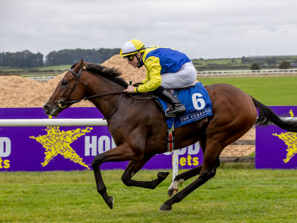 Sissoko | Just Horse Racing