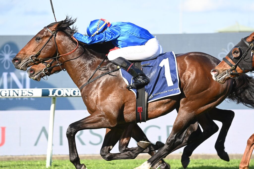 Tom Kitten 26082023 7542 | Just Horse Racing