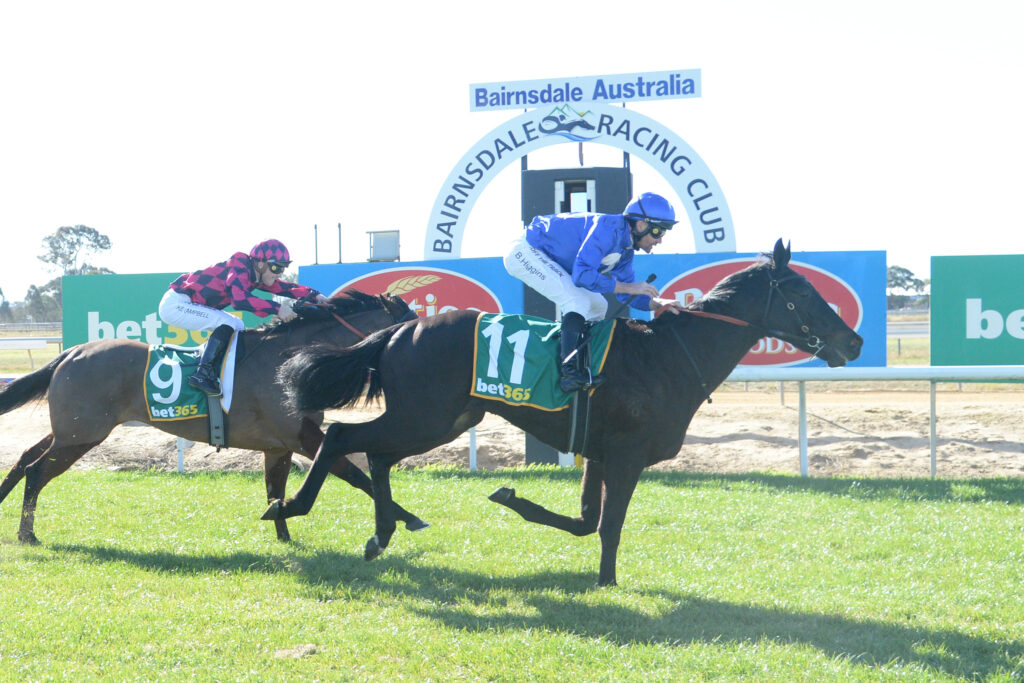 /r1/ | Just Horse Racing