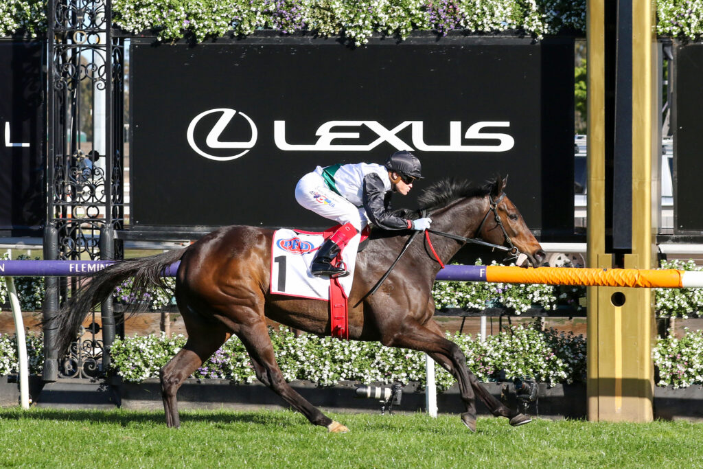 0V9A0756 | Just Horse Racing