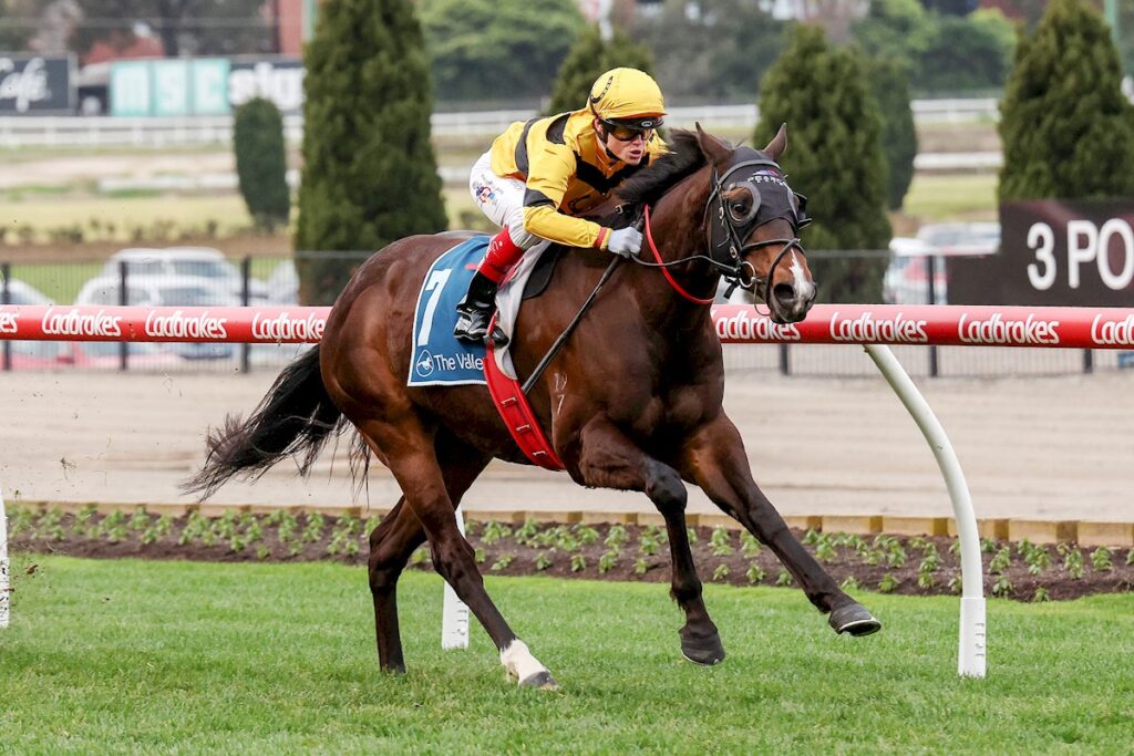 ACROMANTUALLLLLLLA-1024x683 | Just Horse Racing