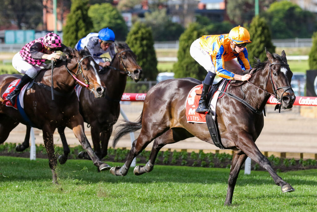 Imperatriz,McEwen Stakes,Group 2_09-09-2023_WIN_Moonee Valley_8__1062 | Just Horse Racing