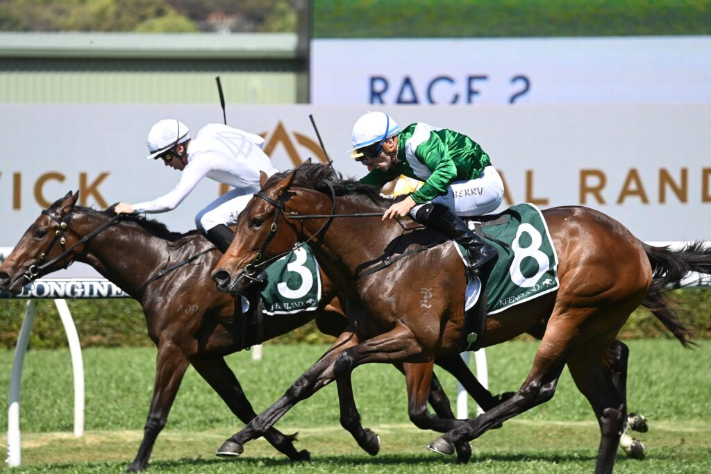 Manaal 300923 0252 | Just Horse Racing