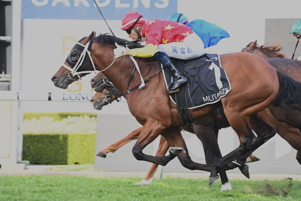 Militarize 230923 83942 | Just Horse Racing