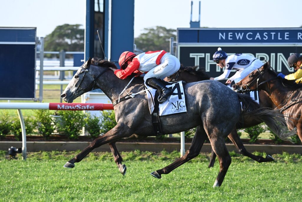 Military Mission 150923 3650 | Just Horse Racing