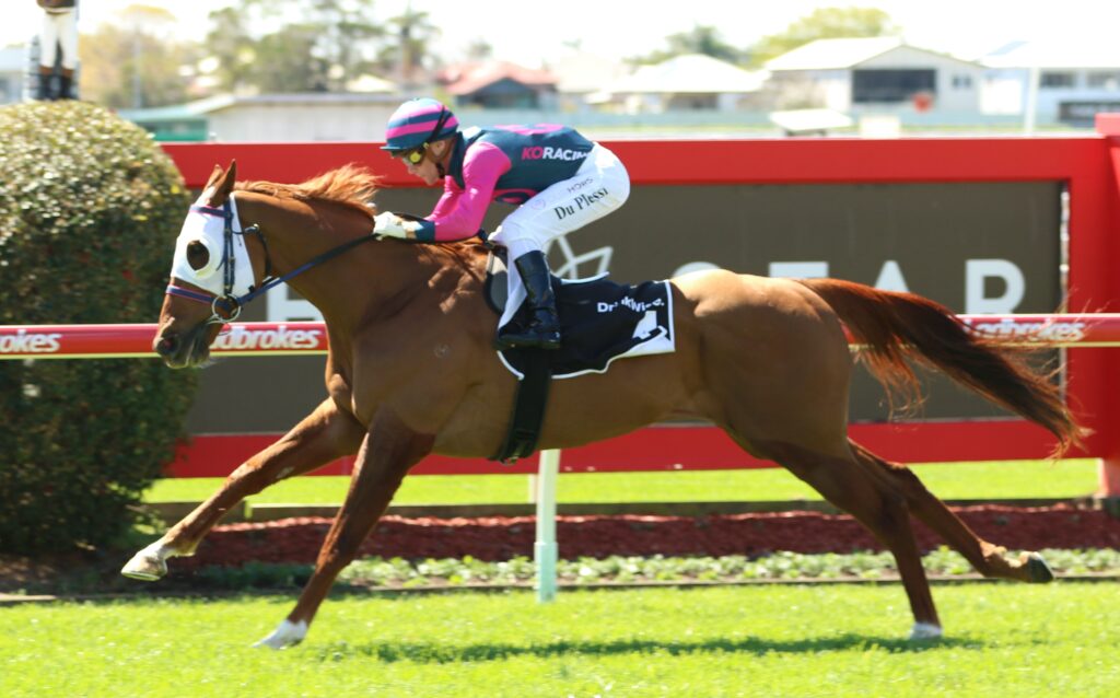 Nikau Spur 1 | Just Horse Racing
