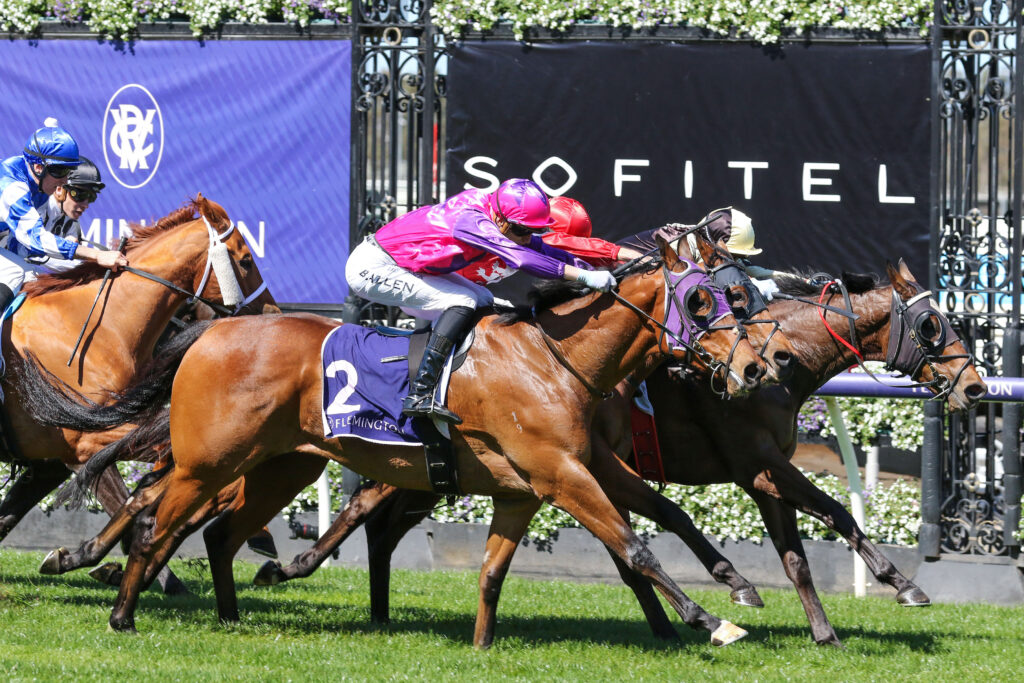 Our Last Cash_16-09-2023_WIN_Flemington_1__25 | Just Horse Racing