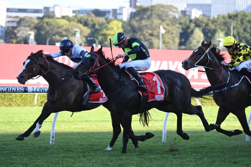 Private Eye 160923 4985 | Just Horse Racing