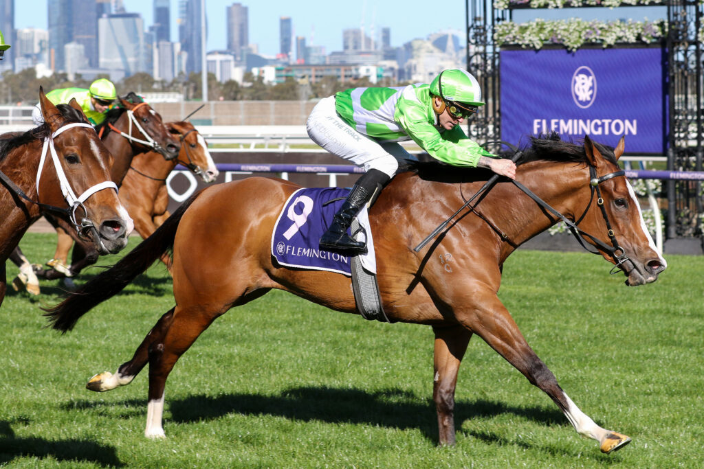 SHESALLSHENANIGANS Cap D'antibes Stakes (6) | Just Horse Racing