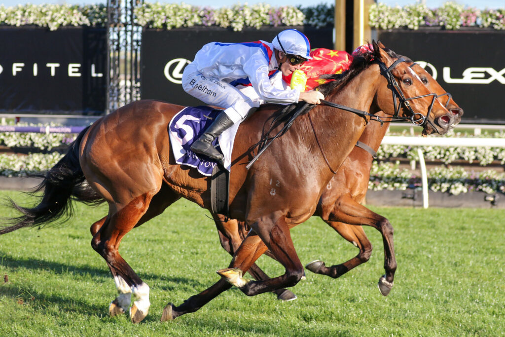 Star Patrol Bobbie Lewis Quality (1) | Just Horse Racing