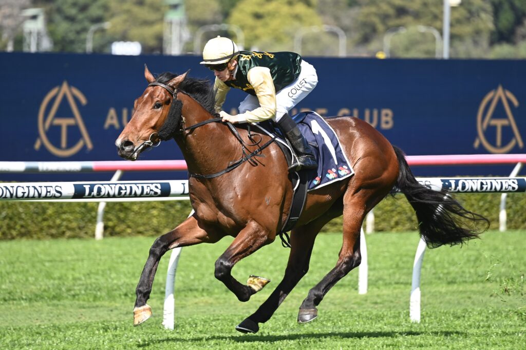 Strait Acer 02092023 0216 | Just Horse Racing