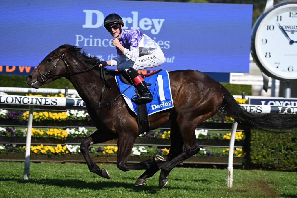 Tiz Invincible 160923 4672 | Just Horse Racing
