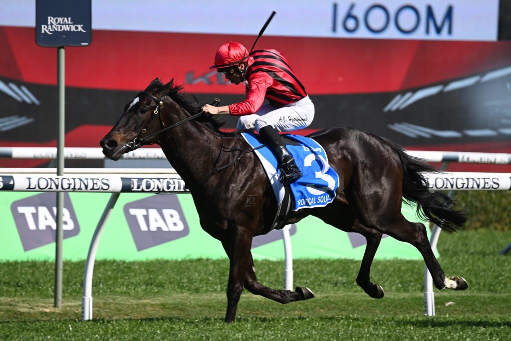 Tropical Squall 300923 0871 | Just Horse Racing