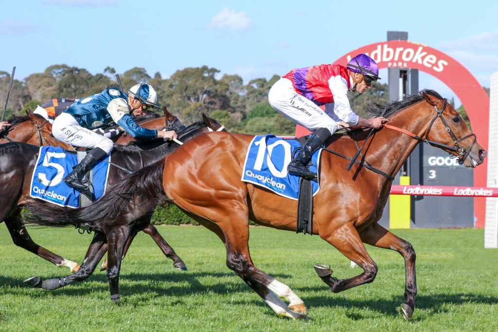 Ain'tnodeeldun_01-10-2023_WIN_Sandown_7__633 | Just Horse Racing