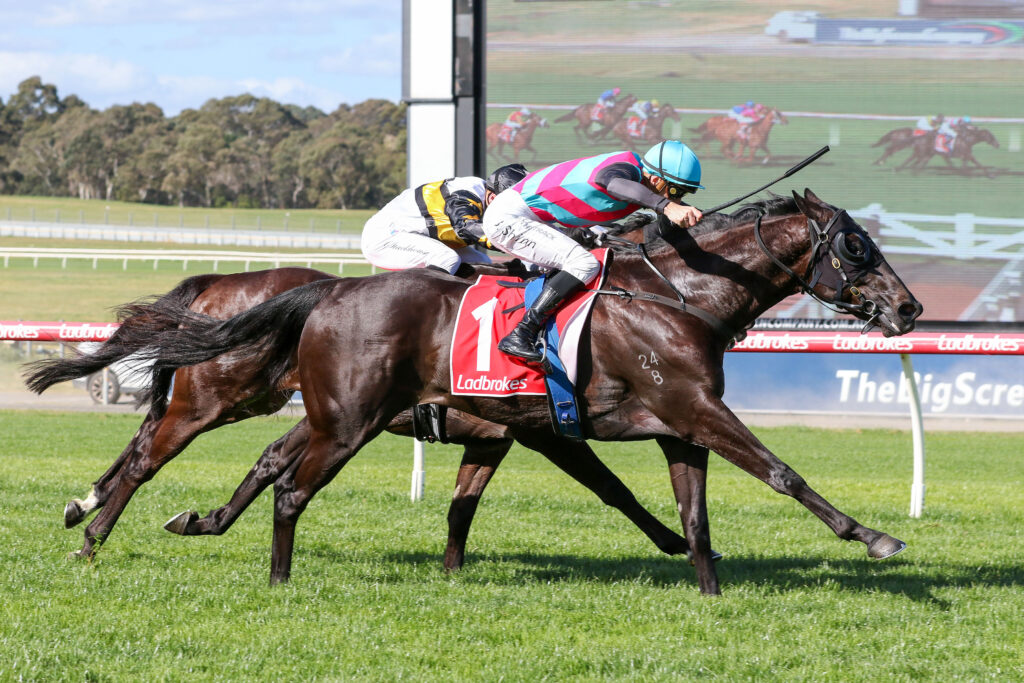 Antino,Sandown Stakes,Group 3_01-10-2023_WIN_Sandown_6__518 | Just Horse Racing