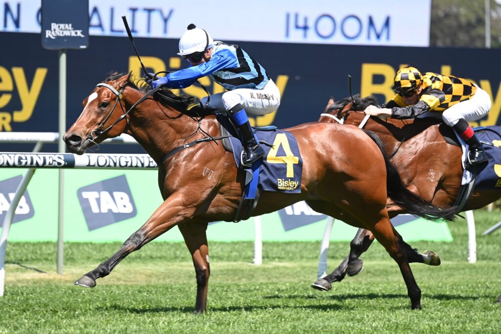 Arctic Glamour 141023 4608 | Just Horse Racing