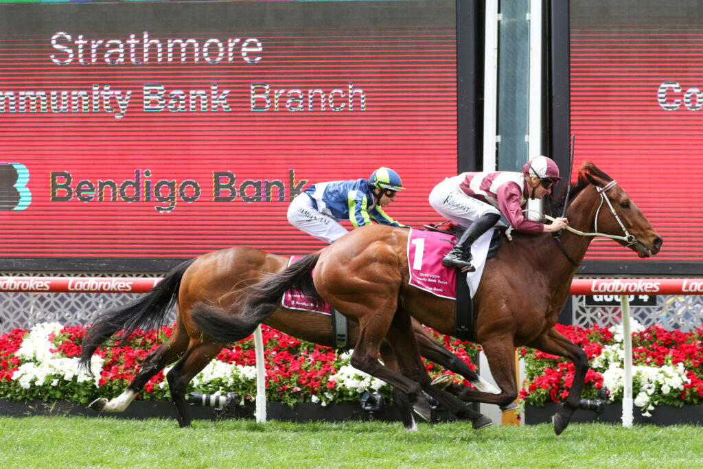 Ashford Street_28-10-2023_WIN_Moonee Valley_1__135 | Just Horse Racing