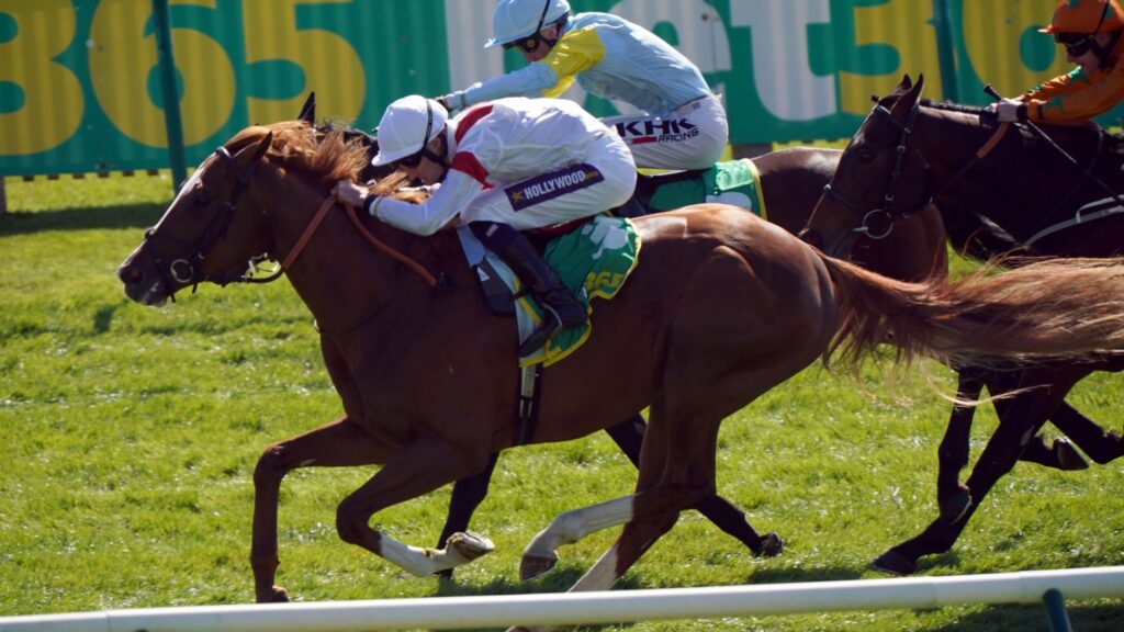 Waller&rsquo;s Canberra Legend ready for The Beauford