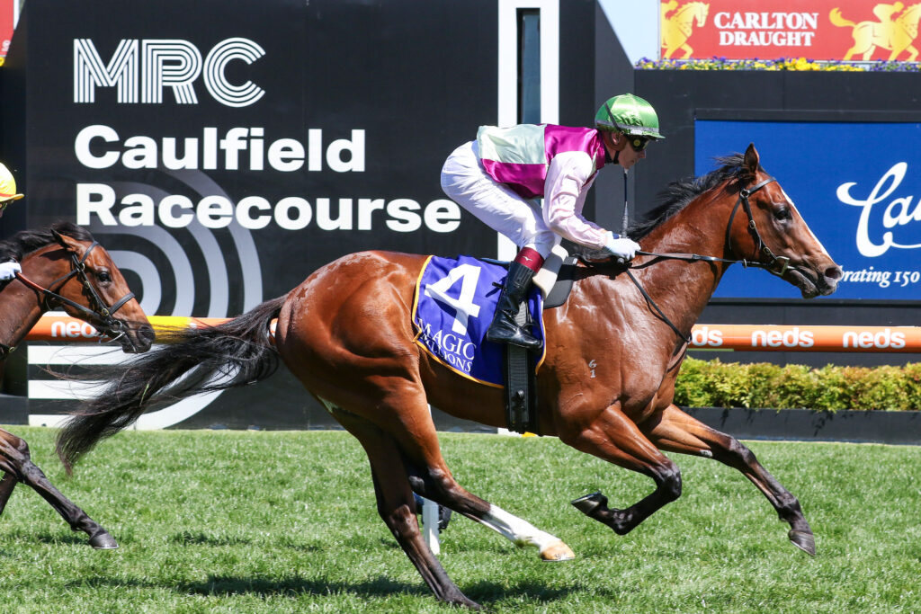 Blue Sapphire Stakes odds suggest a wide open field