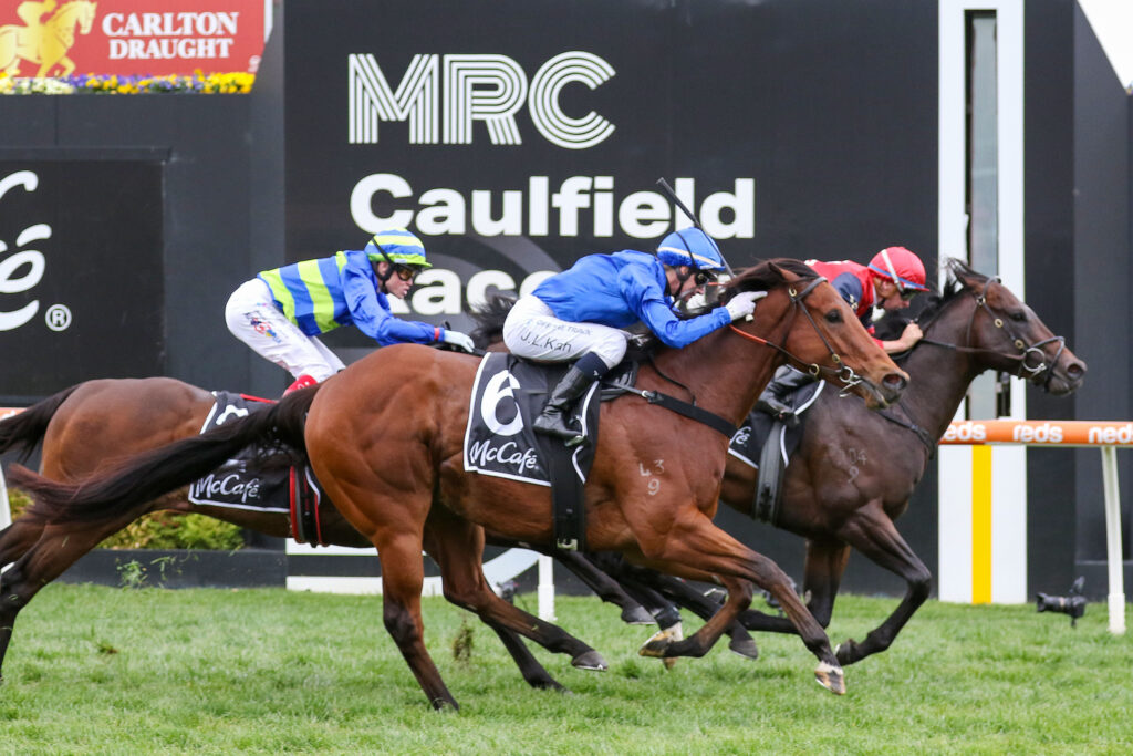 Doull,The McCafe Sprint,Group 2_21-10-2023_WIN_Caulfield_6__850 | Just Horse Racing