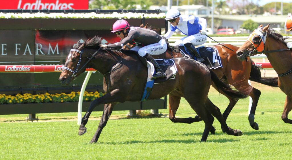 Encoder 2 | Just Horse Racing