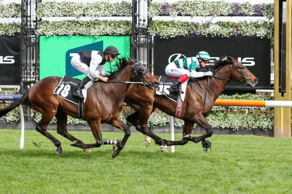Future History,The Bart Cummings,Group 3_07-10-2023_WIN_Flemington_7__1121 | Just Horse Racing