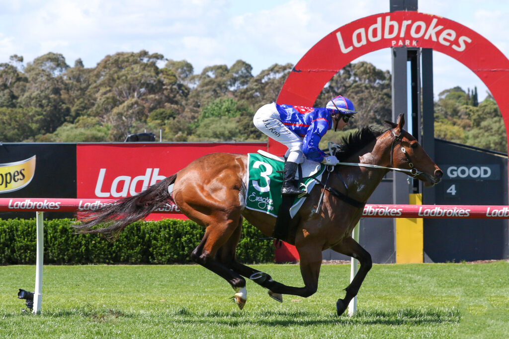 Hedged_01-10-2023_WIN_Sandown_2__32 | Just Horse Racing