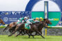 Geelong Races