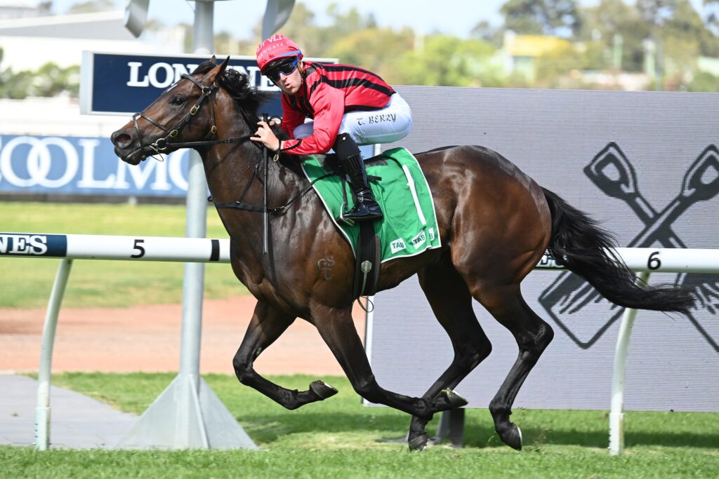 King's Gambit 071023 2831 | Just Horse Racing