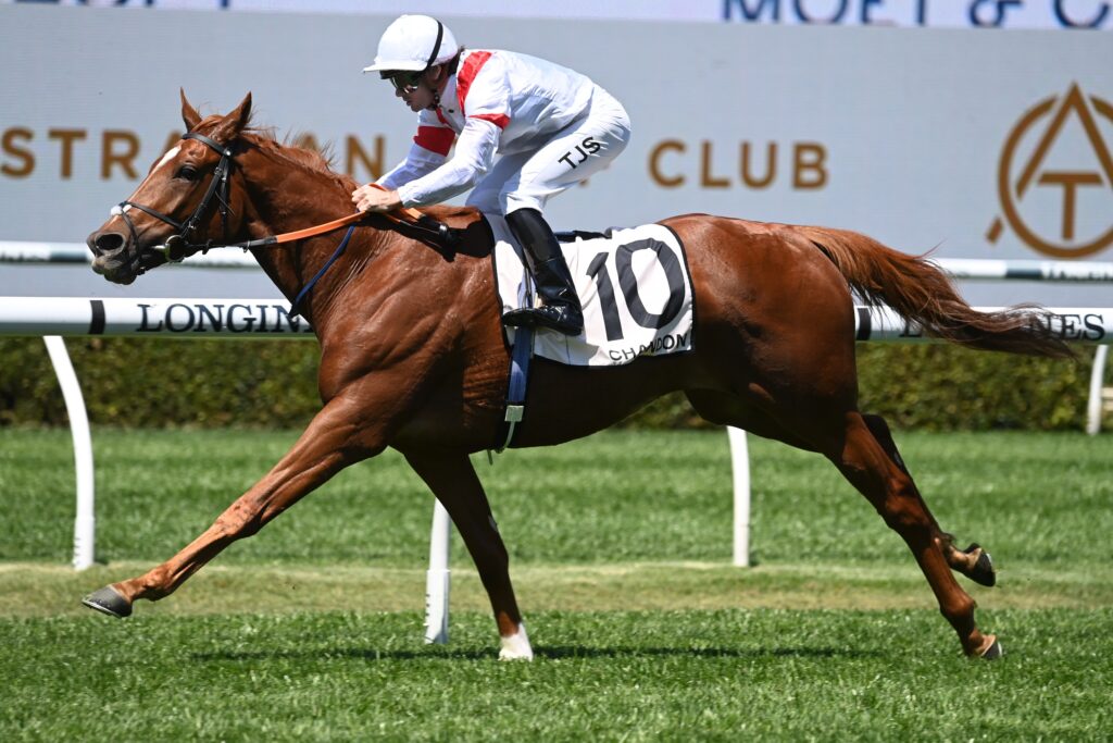 Land Legend 141023 4276 | Just Horse Racing