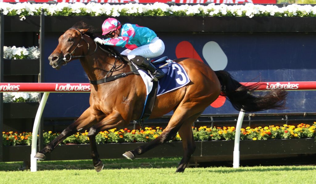 Osamu 4 | Just Horse Racing