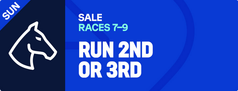 Sale Sunday | Just Horse Racing
