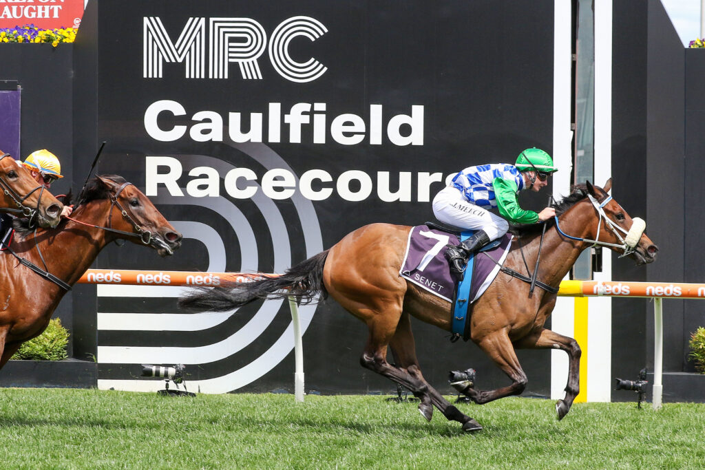 She Dances,Northwood Plume Stakes,Group 3_14-10-2023_WIN_Caulfield_4__565 | Just Horse Racing